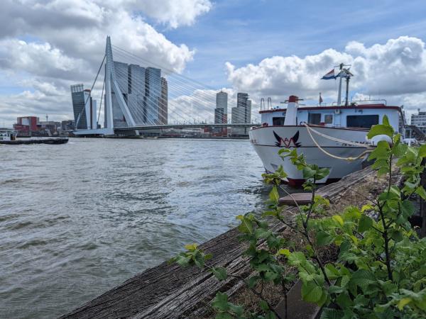 MS Normandie vor Rotterdams Skyline