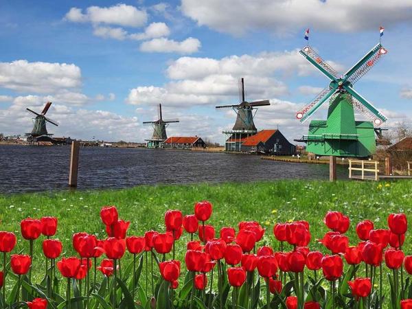 Windmills in Netherlands, Zaanse Schans