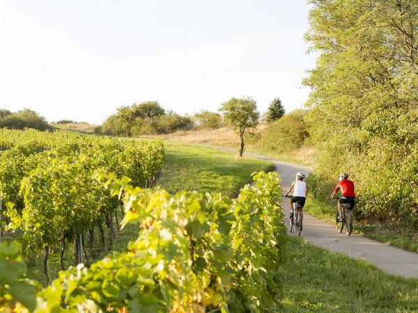 Radeln im Weinviertel