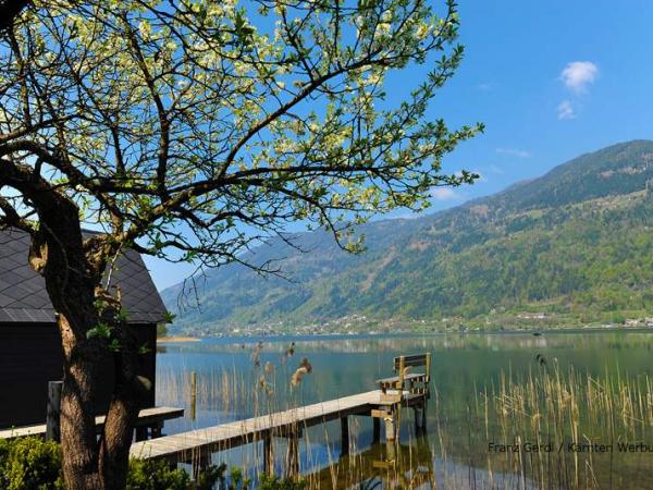 Baum am See