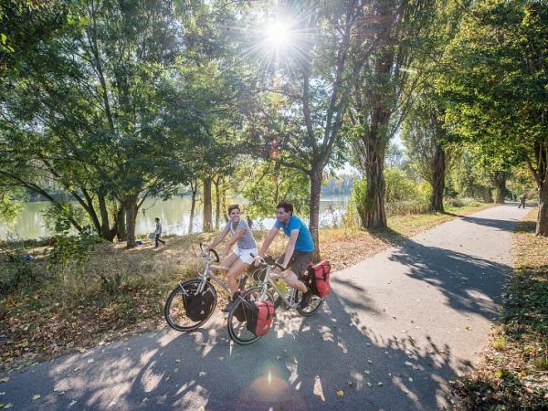 Radfahrer am Loireradweg mit Schatten spendenden Bumen 
