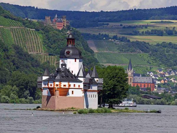 Burg Pfalzgrafenstein