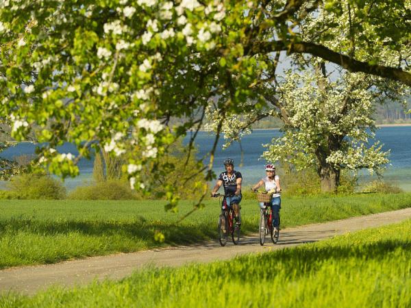 Cyclists on the lake cycle path