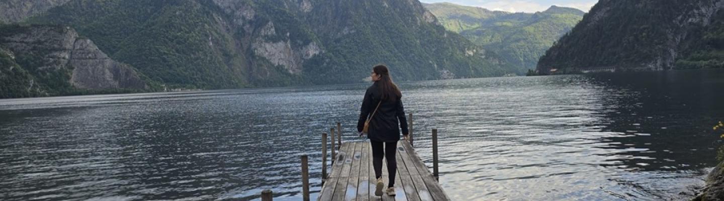 Aussicht ber einen See im Salzkammergut