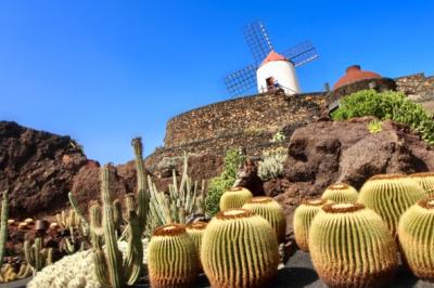 Kaktusgarten auf Lanzarote