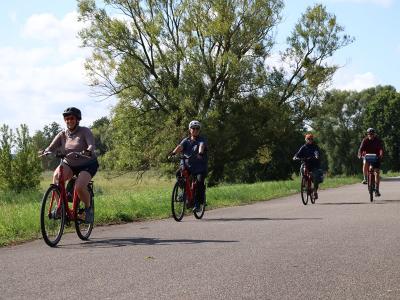 Radlergruppe im Unteren Odertal Nationalpark