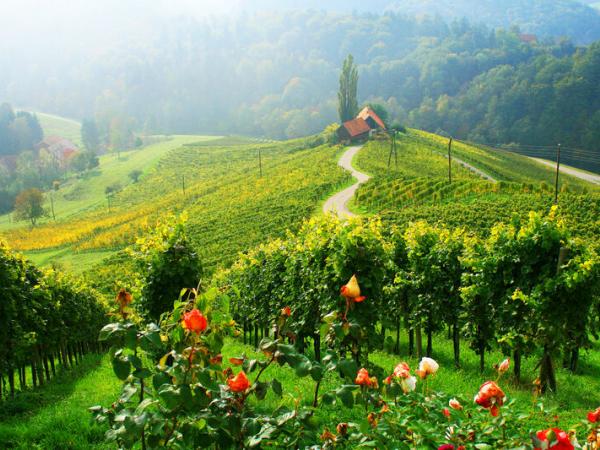 heart shaped street in wine region Bad Radkersburg Bad Radkersburg