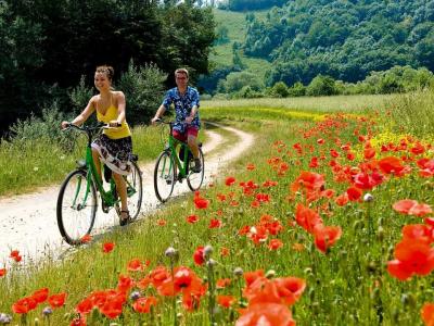 Radfahrer am Mainradweg