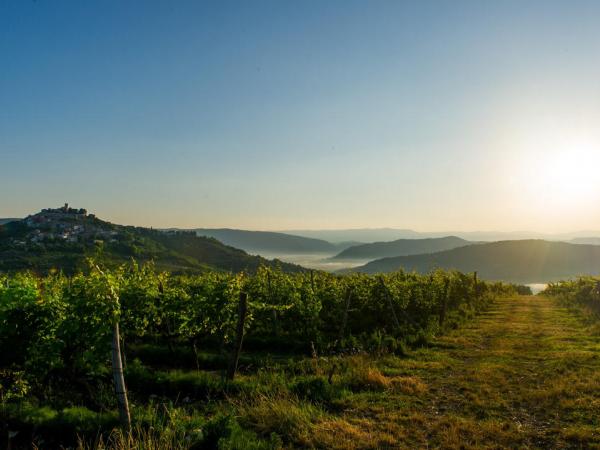 Istrien Landschaft bei Sonnenuntergang