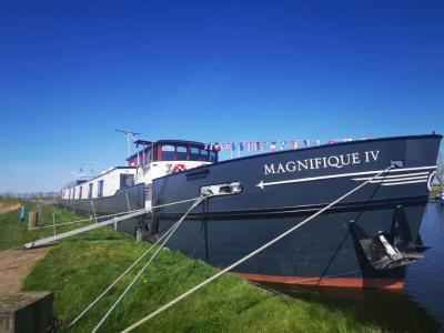 Schiff Magnifique IV
