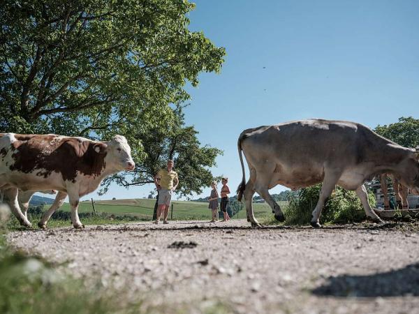 Farm in the Salzkammergut