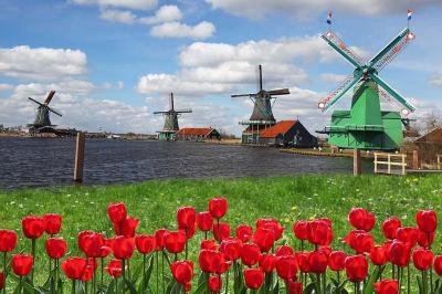 Zaanse Schans Windmhlen