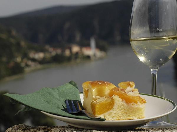 Marillenkuchen und Wachauer Wein 