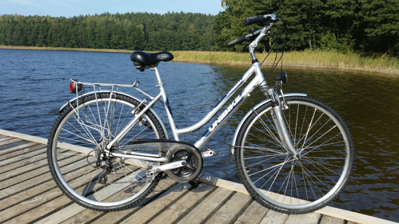 7 gang nexus sl stern fahrrad
