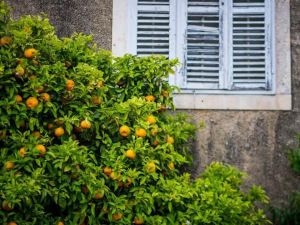 Korcula old house