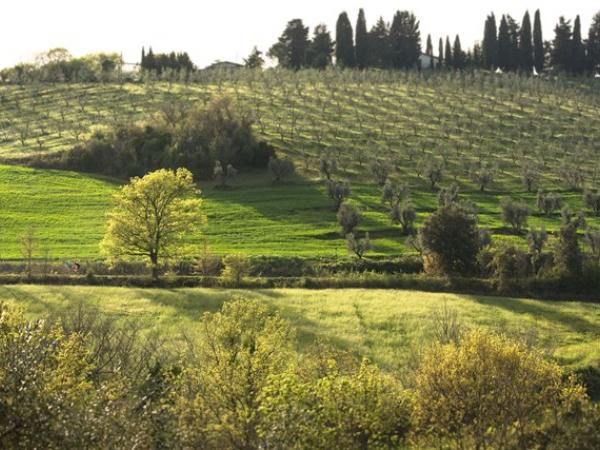 Toskanische Landschaft