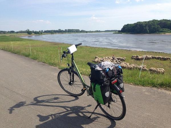 Fahrrad-Elberadweg