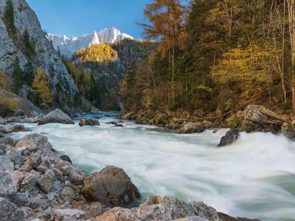 Herbst im Gesuse-Eingang