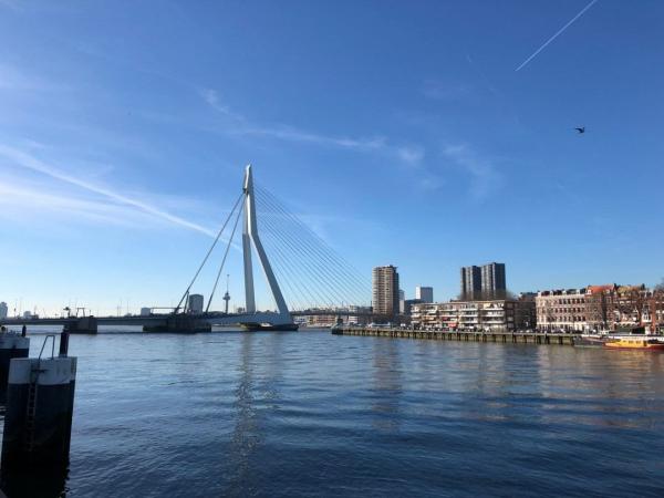 Rotterdam skyline Erasmus bridge