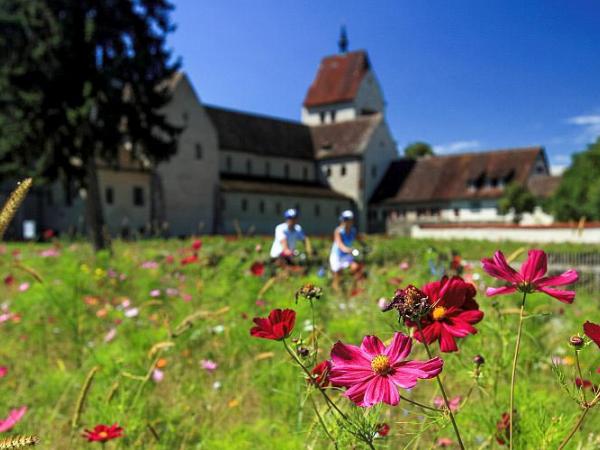 Radfahrer auf Reichenau