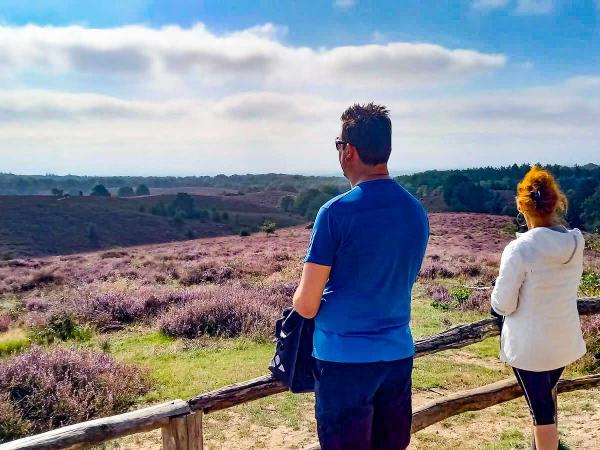 Hanseroute- Blick auf die blhende Heide