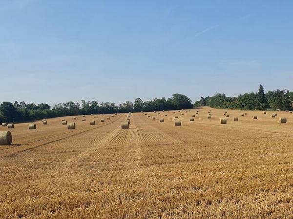 Felder mit Strohballen