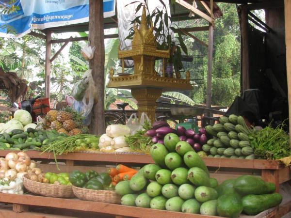 Wochenmarkt waehrend Radreise nach Angkor-Wat in Vietnam