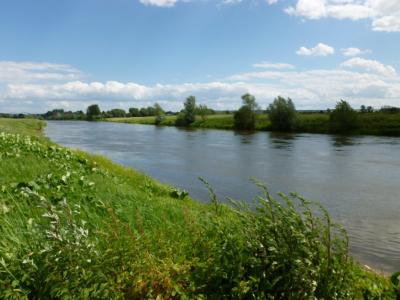 Weser Radstrecke Hameln-Rinteln