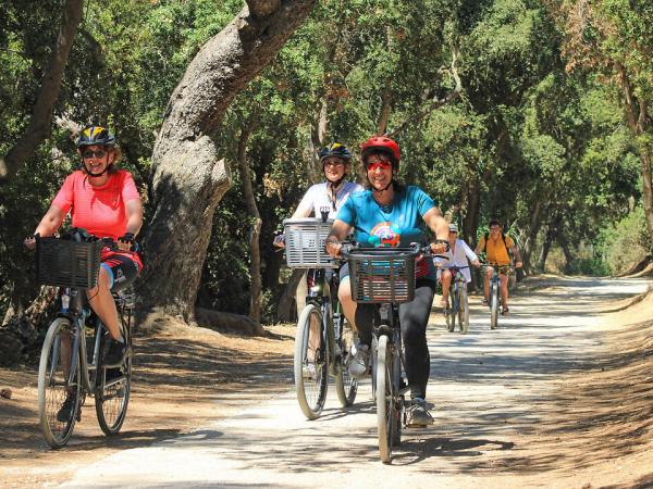Radlergruppe in den Pinienwldern auf Porquerolles