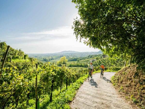 Radfahrer in der Friaul