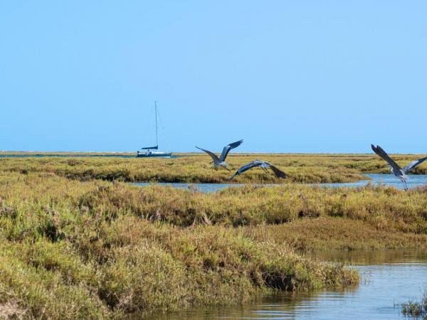 Naturpark Lagune Ria Formosa