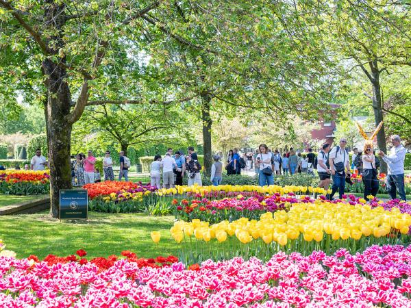 Keukenhof Tulpeninsel mit Besuchern