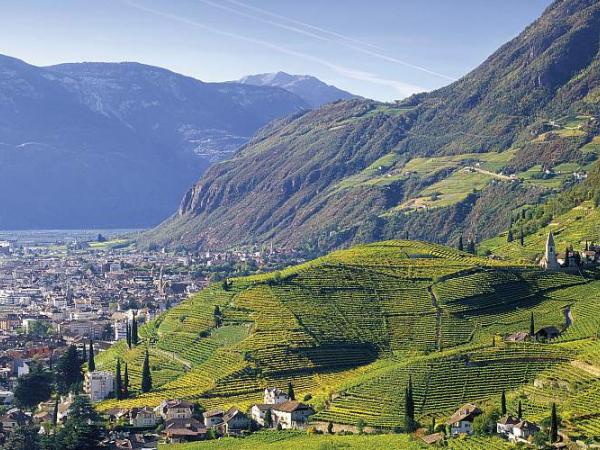 Weinberge von St. Magdalena ber Bozen