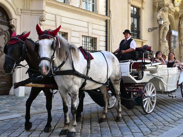 Wien Fiaker