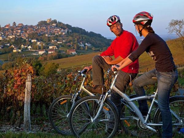 Radtour in den Weinbergen rund um Sancerre