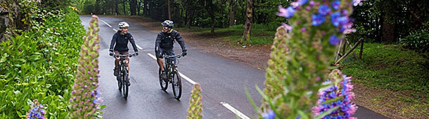 Radeln auf Madeira | © Visit Madeira / Lokoloko Madeira