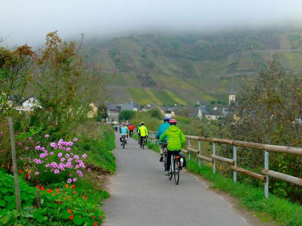 Cyclists on the moselle bike path