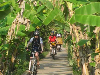 Radeln unter Palmen - cycling beneath palms