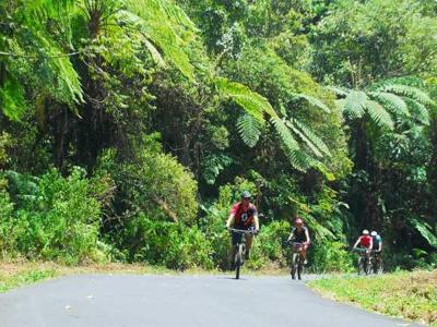 Abfahrt - downhill