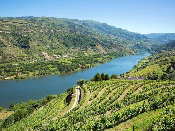 Blick ins Dourtal und dem Fluss umgeben von hgeligen Weinterrassen