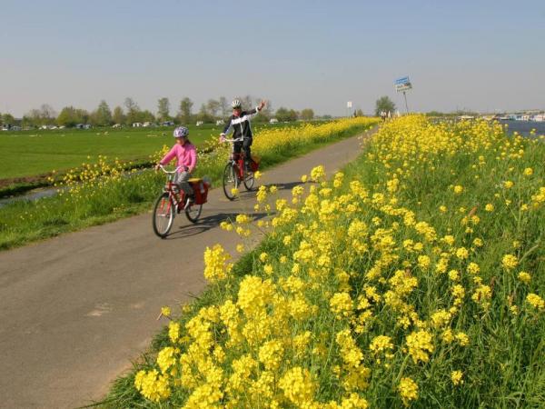 Blumen entlang des Radweges