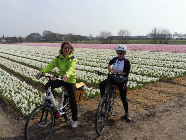 Radfahrer bei Hyazinthenfeld 