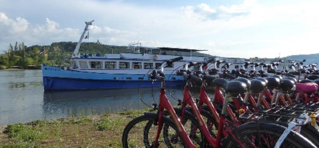 Touren am Rhein & Neckar mit Rad + Schiff | radreisen.at