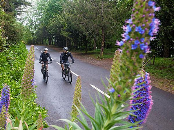 Biking Madeira