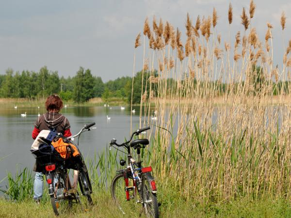 Radfahrer im Spreewald
