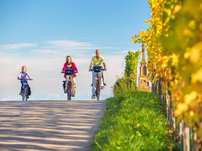 Radfahrer in den Weinbergen