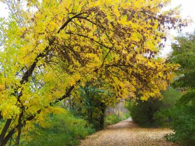 Herbststimmung am Radweg