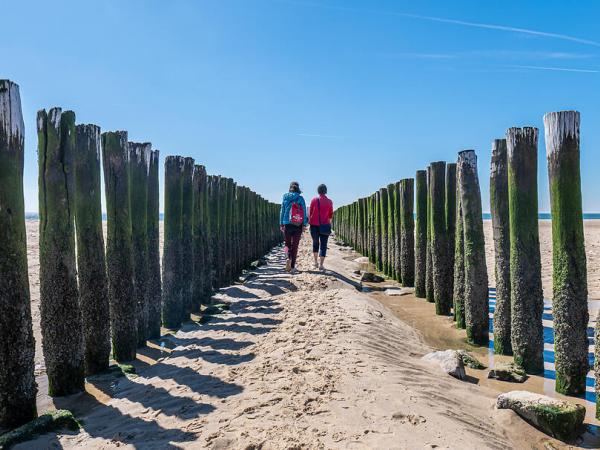 Zoutelande Wasserlandschaften am Strand