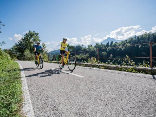 Alps Adriatic cycle path