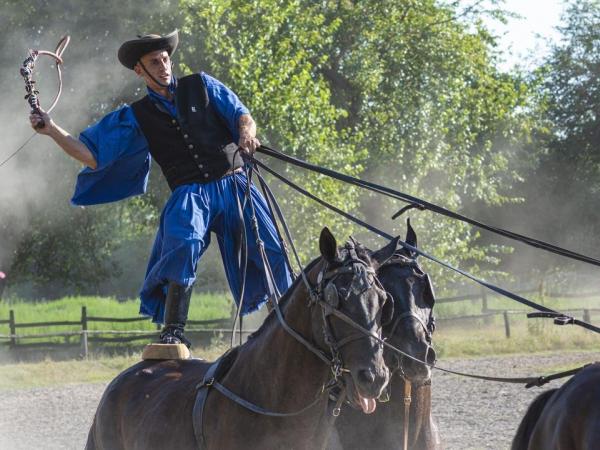 Ungarn - Puszta Show in Solt - Reiter mit Pferden